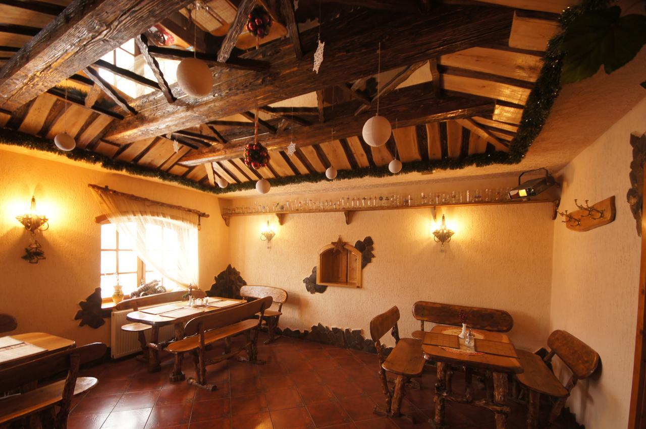 Zirka Karpat Villa Yasinya Dış mekan fotoğraf